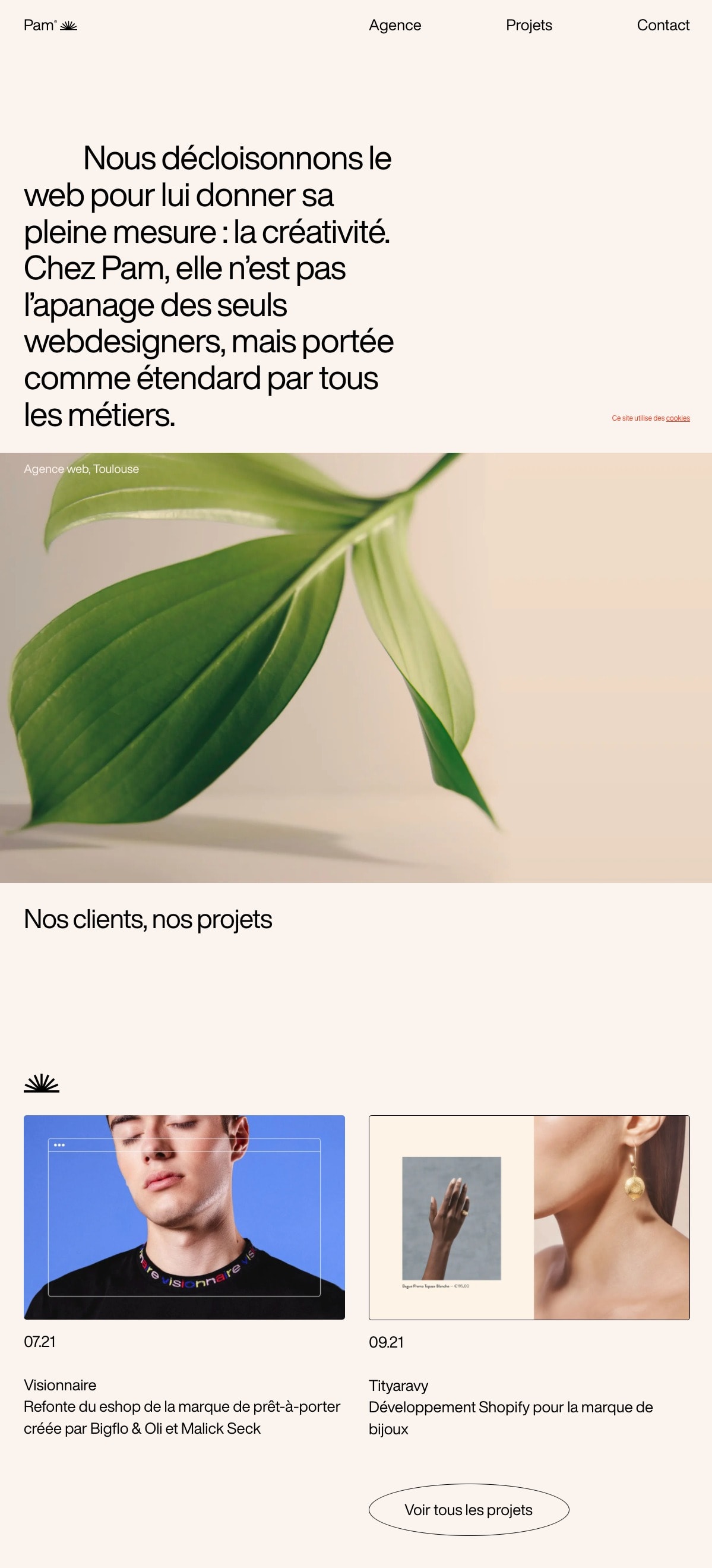 Pam portfolio screenshot