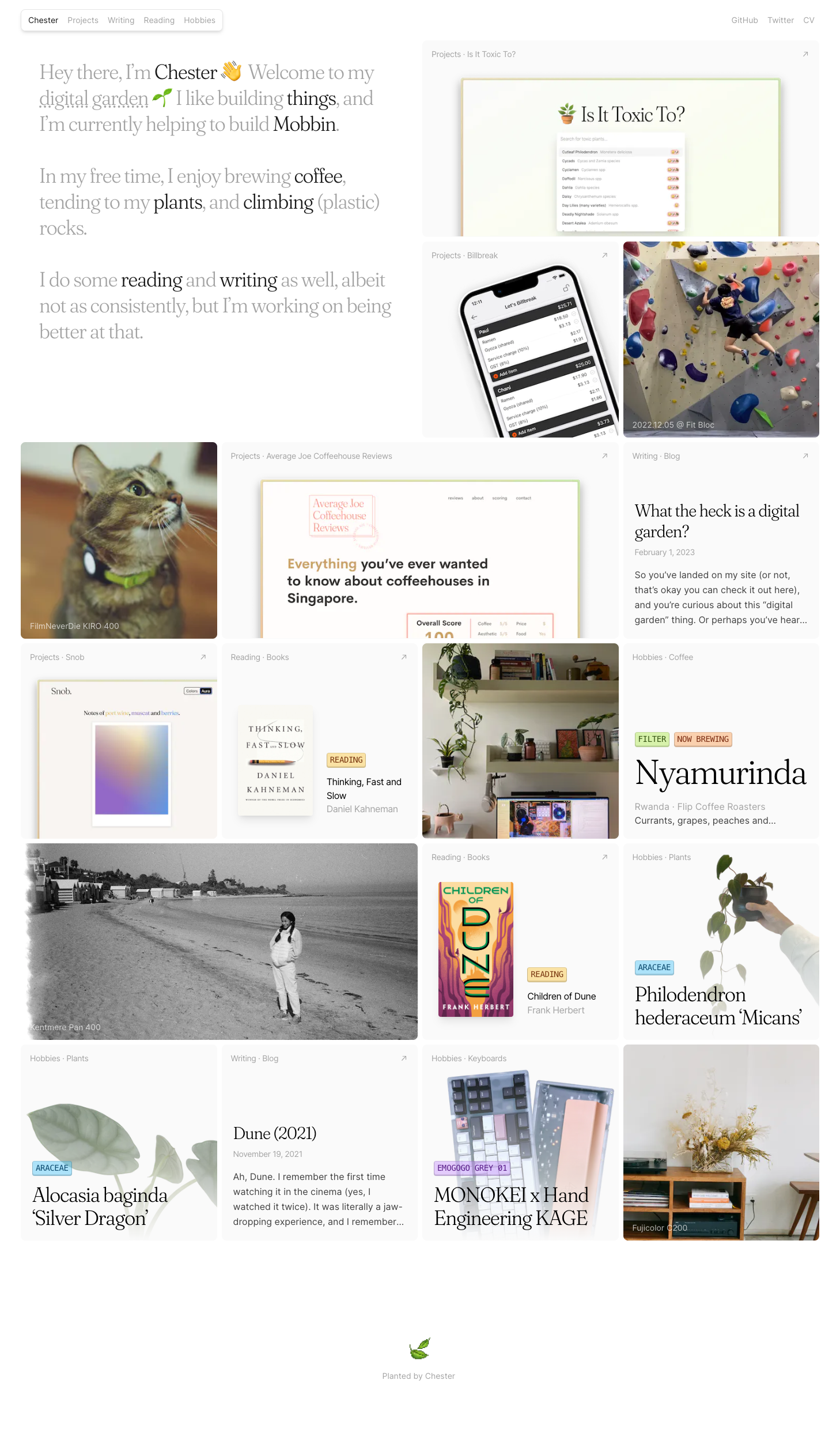 Chester How portfolio screenshot