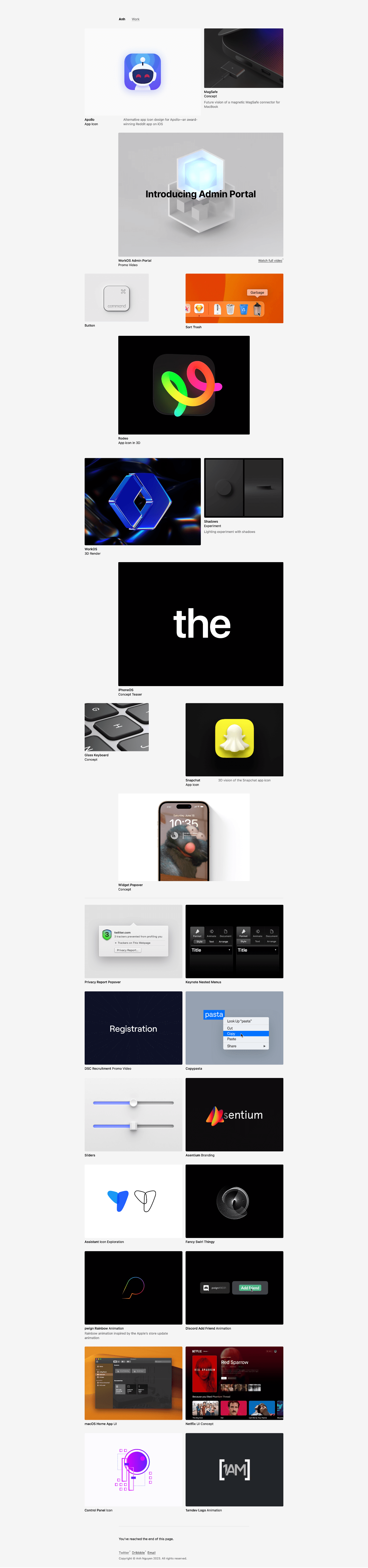 Anh Nguyen portfolio screenshot