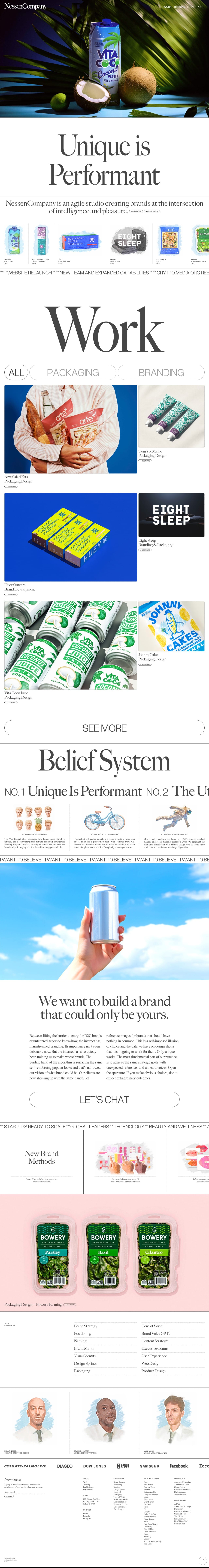 Nessen Company portfolio screenshot