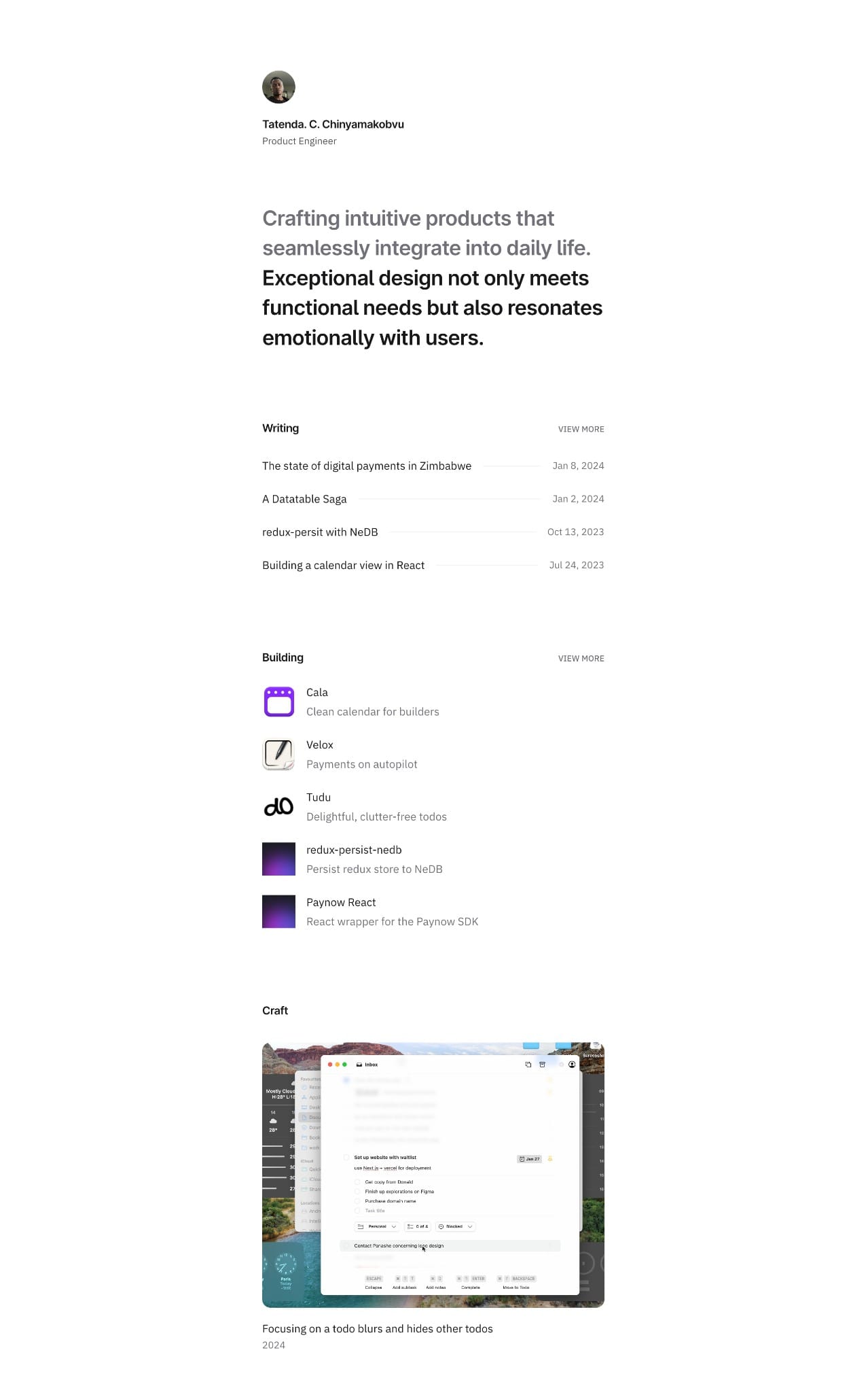 Tatenda. C. Chinyamakobvu portfolio screenshot