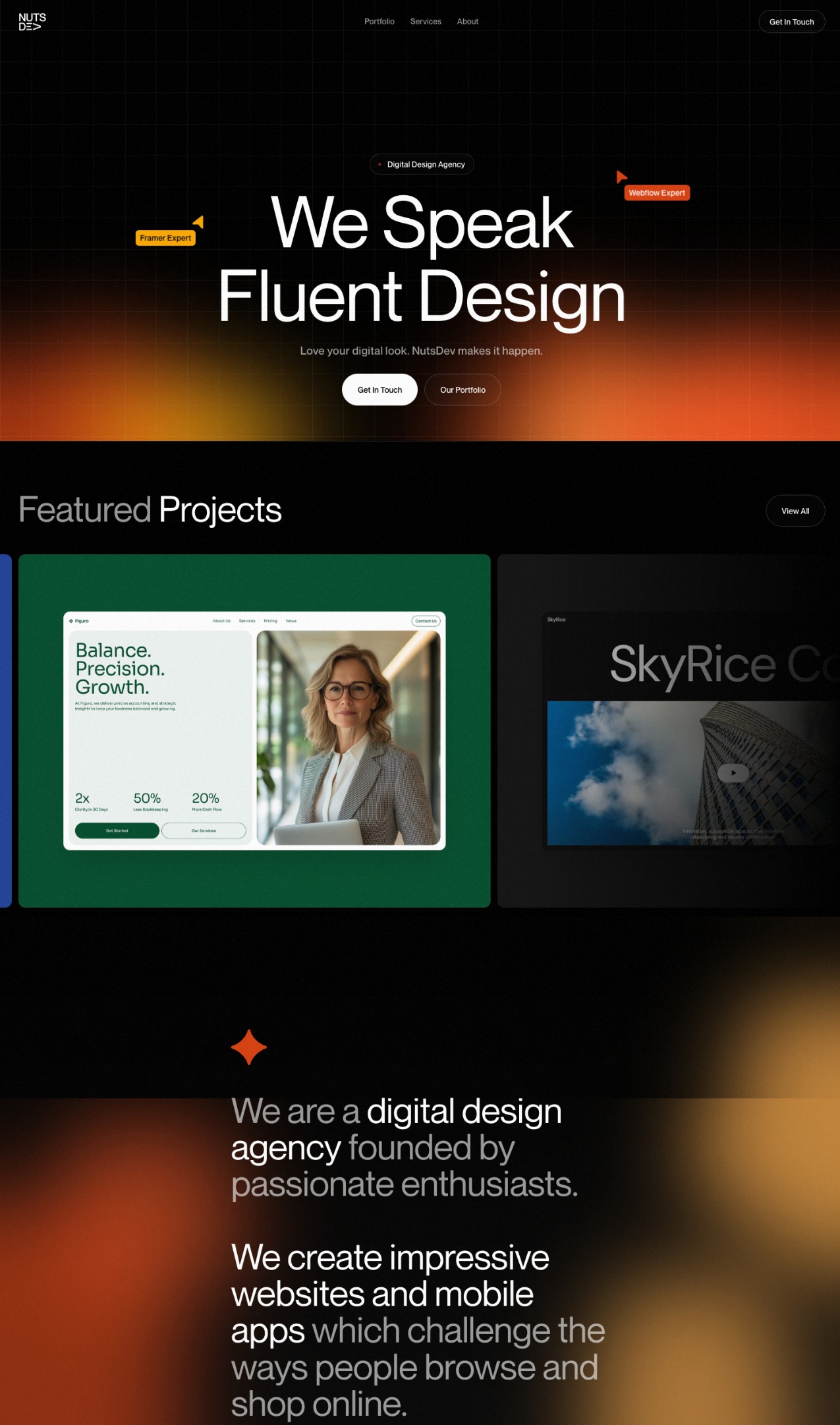 NutsDev portfolio screenshot
