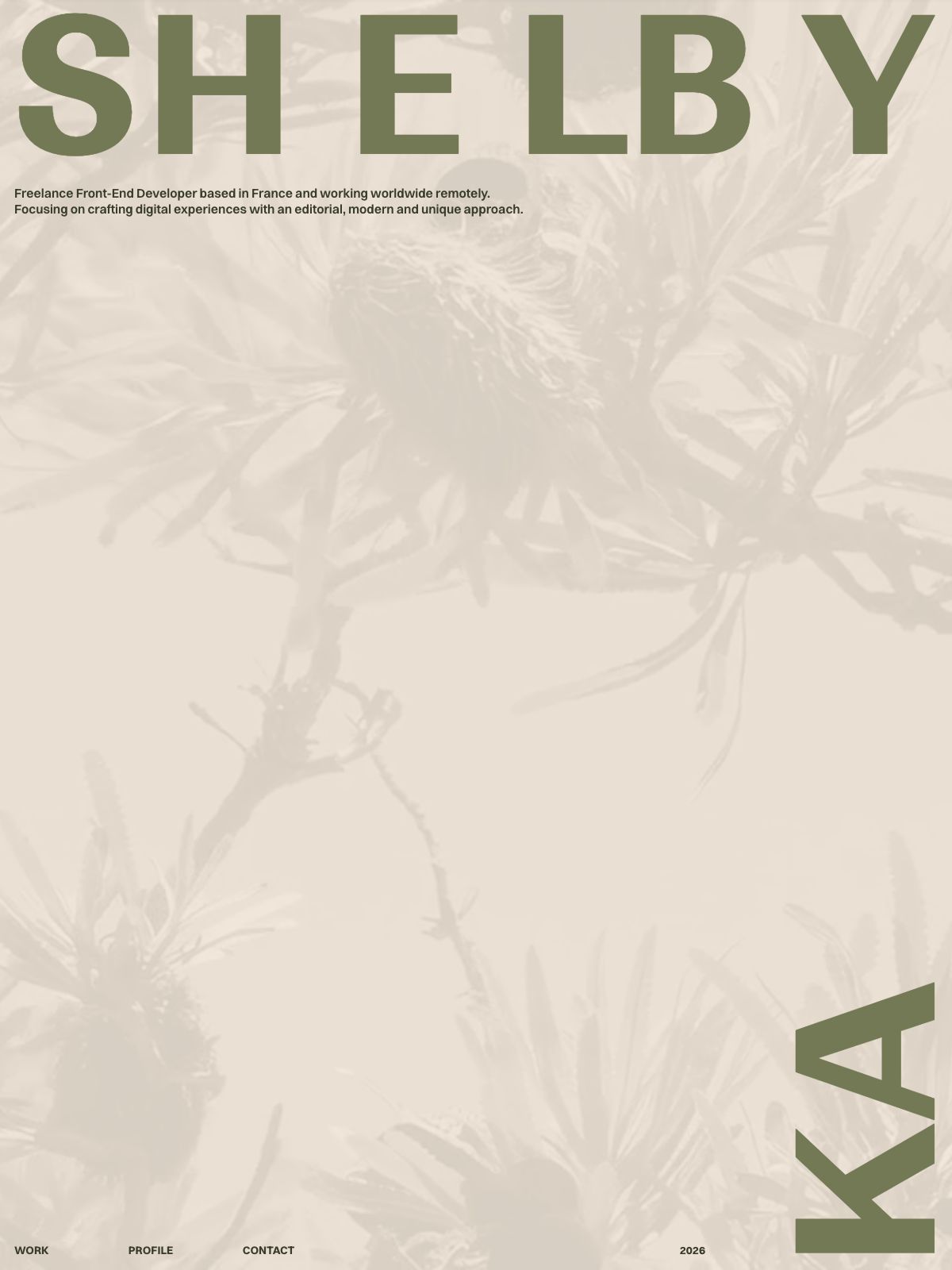 Shelby Kay software developer portfolio - creative portfolio