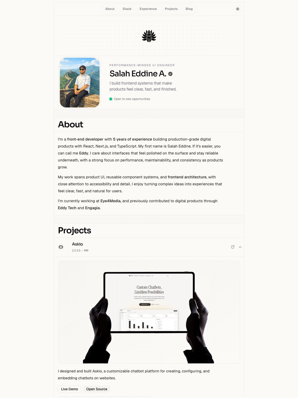 Salah Eddine A. portfolio screenshot