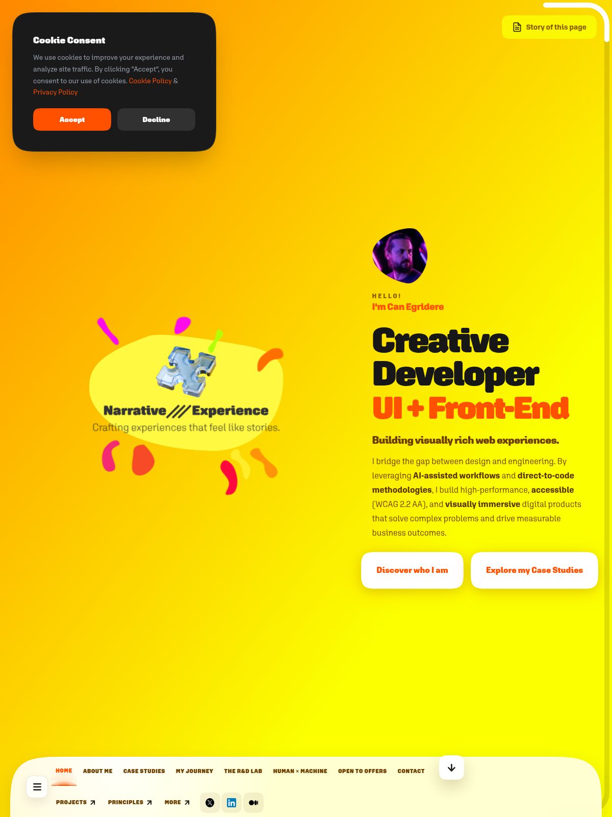 Can Eğridere portfolio screenshot